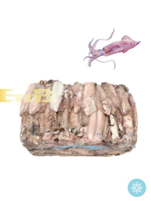 Calamar patagonico 4B 9-11cm 5-6kg | EMBFOOD