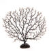 Coral negro para decororacion CF 1*400 | EMBFOOD