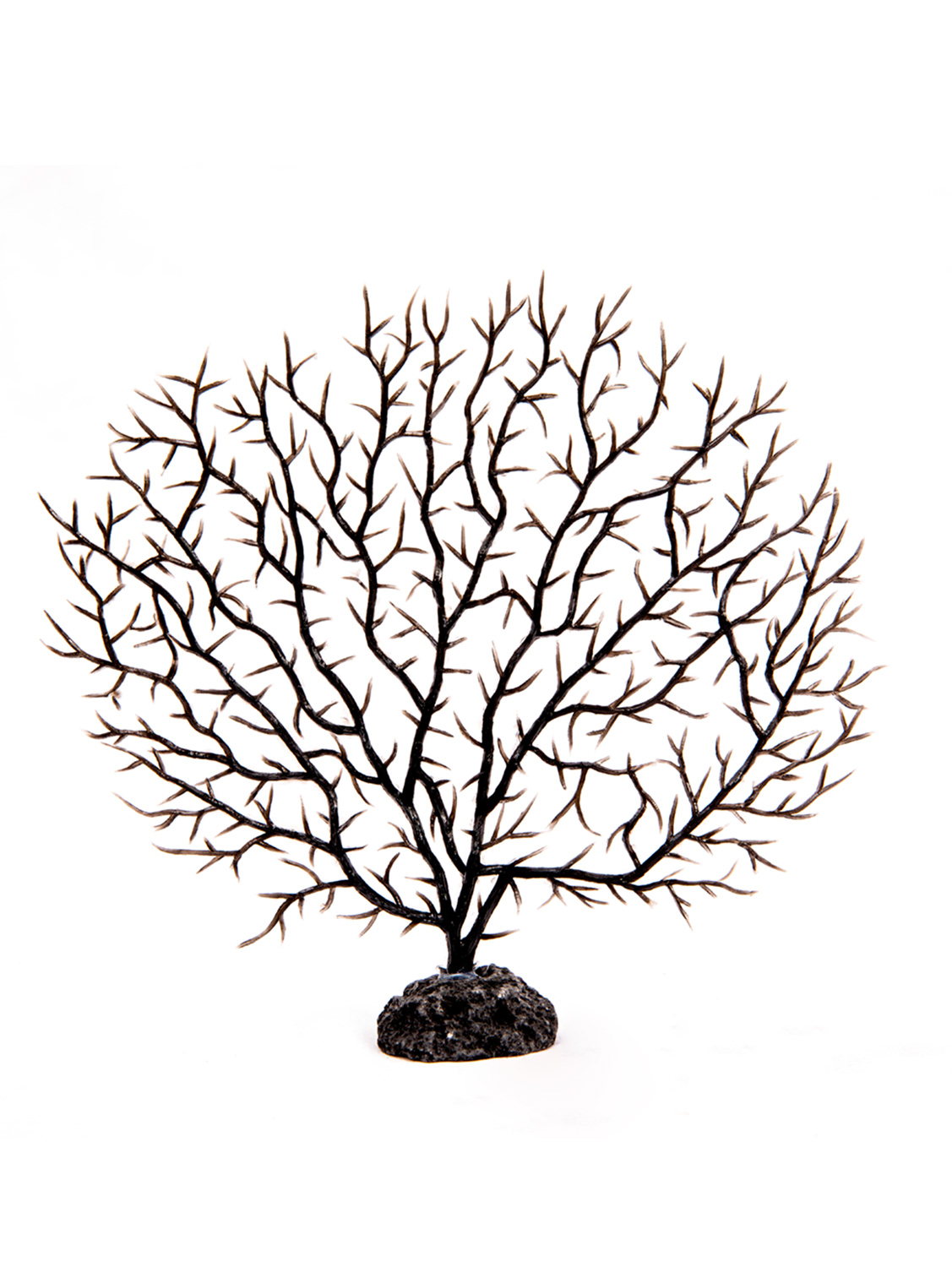 Coral negro para decororacion CF 1*400 | EMBFOOD