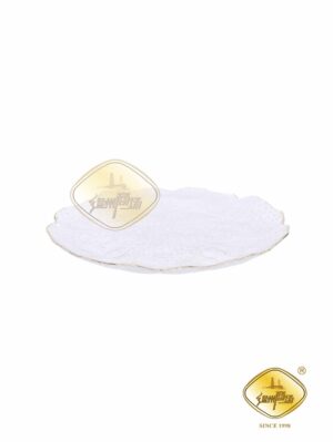 Plato GM 10" 1*24 | EMBFOOD