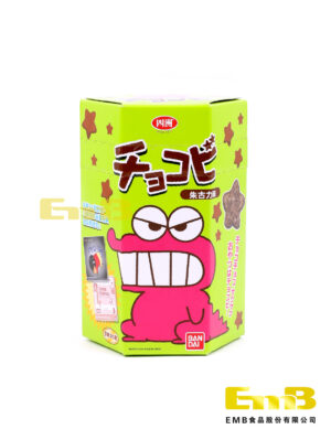 Galleta Chocolate FOUR SEAS 12/22g | EMBFOOD