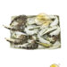 (整)散装螃蟹脚*需称重 10-15/kg左右 | EMBFOOD