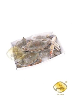 希腊冻青蟹 4-6pz 6/1kg | EMBFOOD