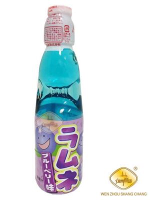 合并10+1日本哈达波子汽水(蓝莓味) 30/200ml | EMBFOOD