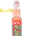 合并10+1日本哈达波子汽水(西瓜味) 30/200ml | EMBFOOD