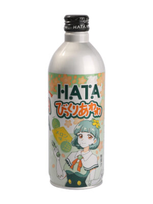 日本HATA KOSEN.F哈密瓜苏打汽水 24/500g | EMBFOOD