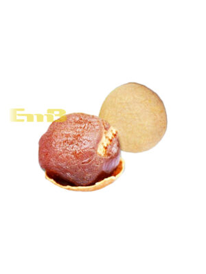 #整-桂圆干散装*需冷藏 1/10kg | EMBFOOD