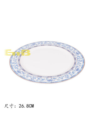 YY天顺经典平盘10.5寸 1*30 26.8cm | EMBFOOD