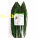 EMB鲜竹叶 M 30/100pcs | EMBFOOD