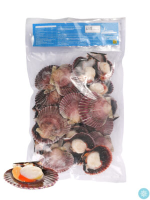 冰冻扇贝20-30  8/900g | EMBFOOD