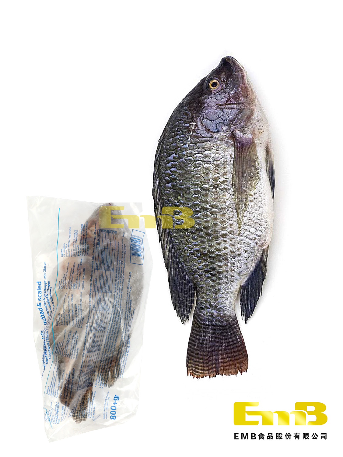 DSD冰冻吴郭鱼(非洲鲫鱼)800g+ 5/kg | EMBFOOD