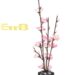 SML假树腊梅浅粉色31cm SML-20-15 | EMBFOOD