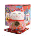 摇手招财猫 1*48 14*13*14cm 240405-5寸白色赚钱猫 | EMBFOOD